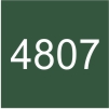 4807 - Verde Padure